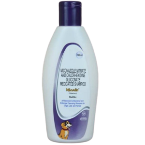 Buy Micodin Medicated Anti-Bacterial & Anti-Fungal Shampoo 200ml Wholesale Express BD